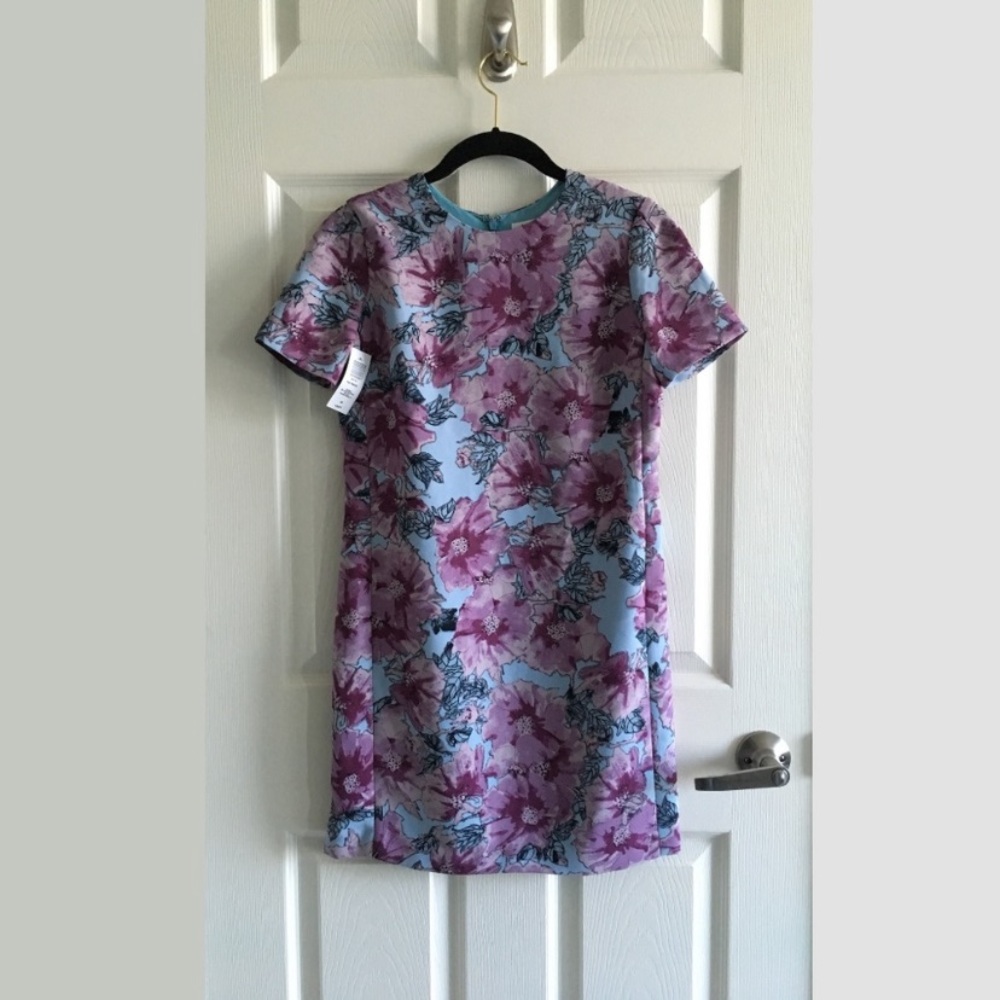 ✨NWT✨ Babaton Patricio Dress Aritzia